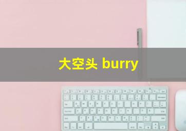 大空头 burry